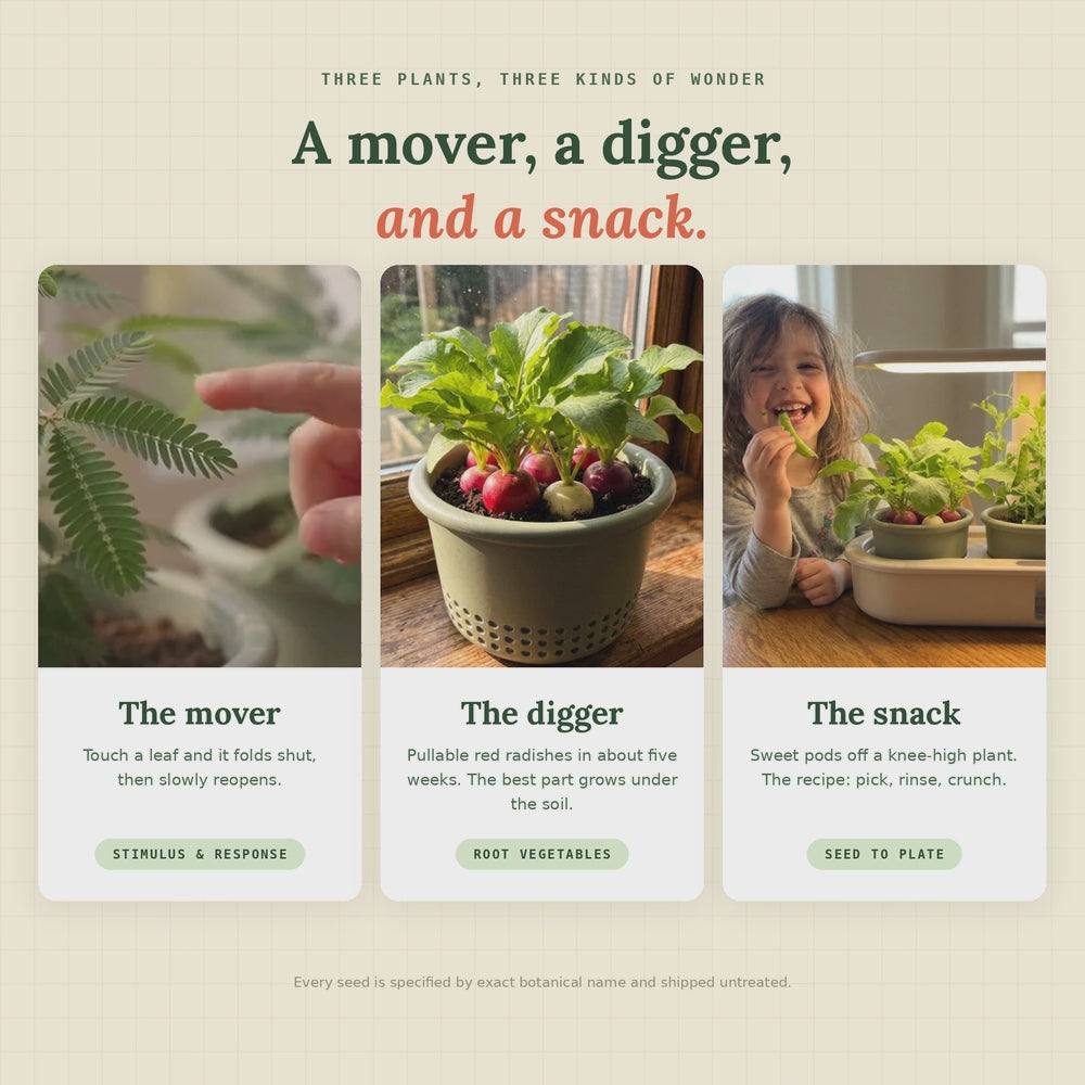 Peeka Pot - Learn to Grow Complete Garden Kit